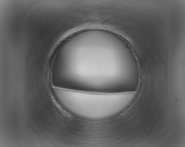 X0000083611507200702120710