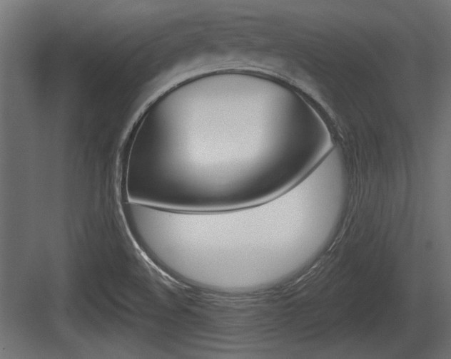 X0000083611508200702120710