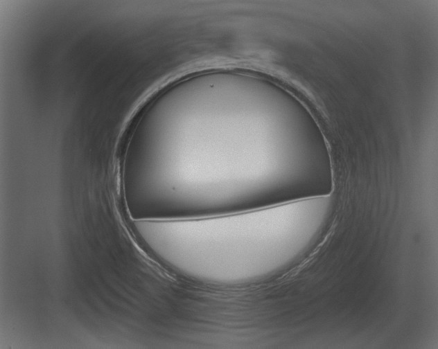 X0000083611509200702120710
