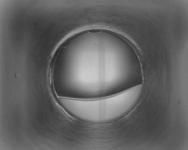 X0000083611510200702120710