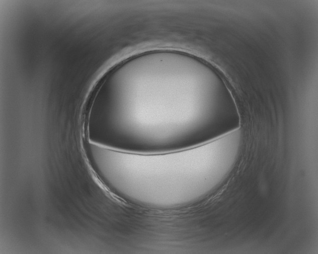 X0000083611511200702120710