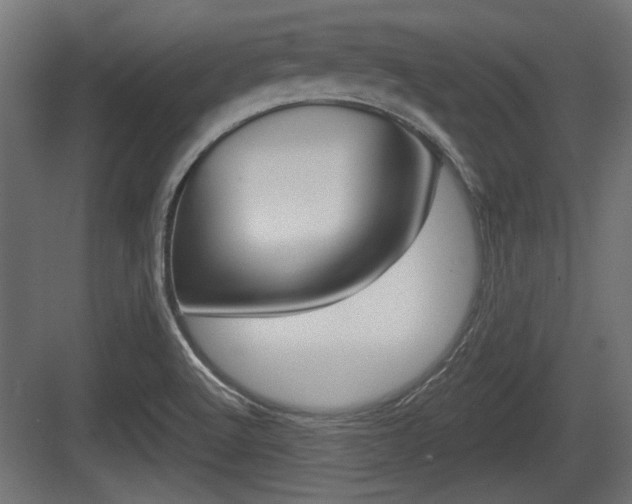 X0000083611512200702120710
