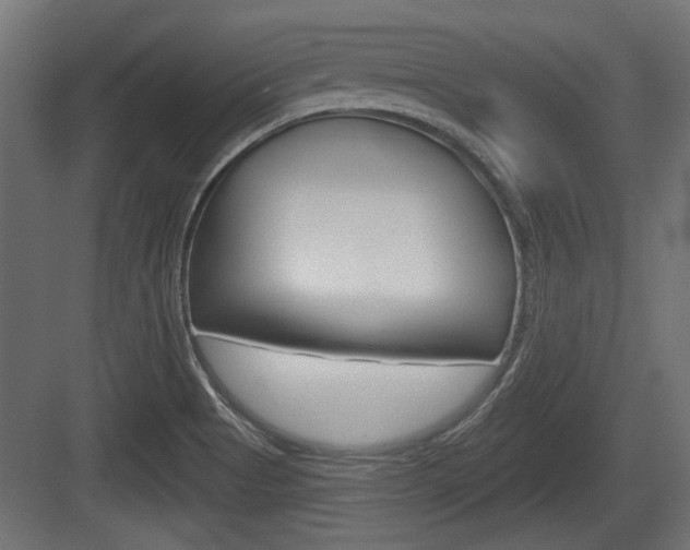 X0000083611513200702120710