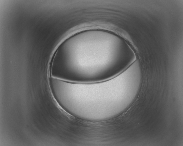 X0000083611516200702120710