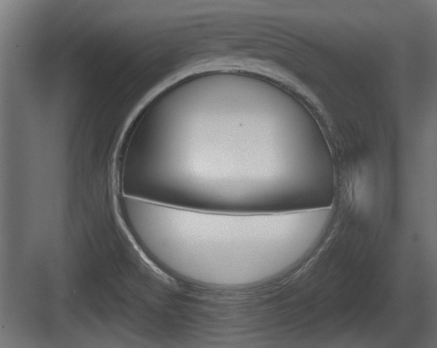 X0000083611517200702120710