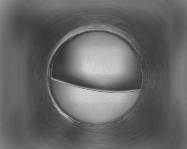 X0000083611519200702120710