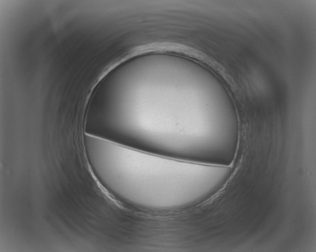 X0000083611521200702120710
