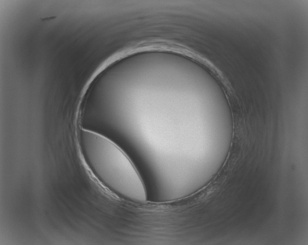 X0000083611522200702120710