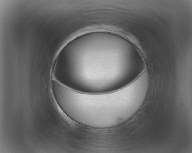 X0000083611524200702120710