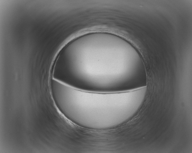 X0000083611527200702120710