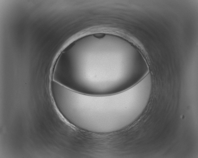 X0000083611528200702120710
