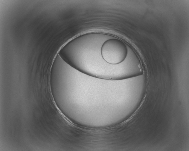 X0000083611529200702120710