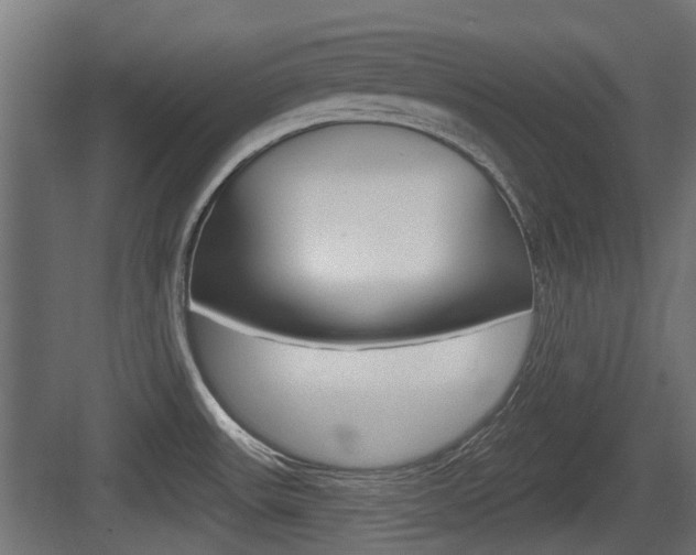 X0000083611531200702120710