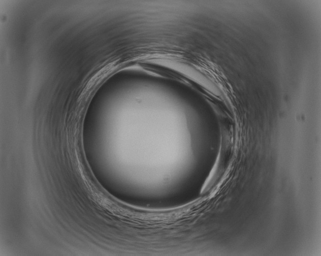 X0000083610001200702121127