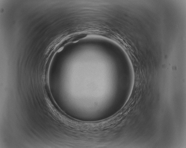 X0000083610002200702121127