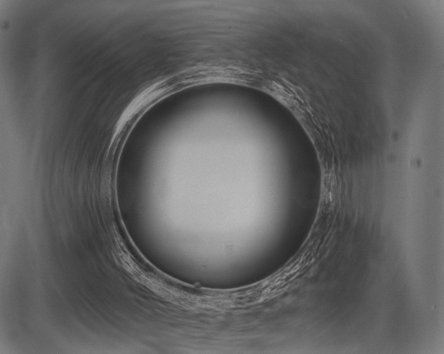 X0000083610004200702121127