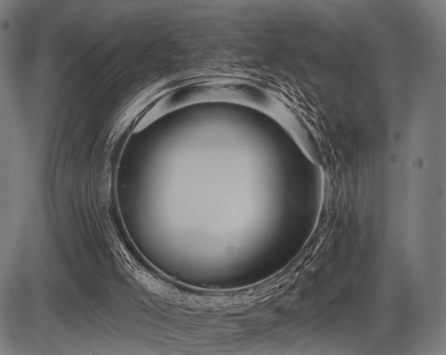 X0000083610005200702121127