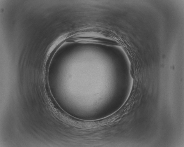 X0000083610006200702121127