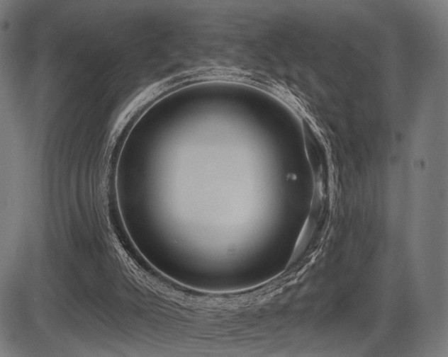 X0000083610007200702121127