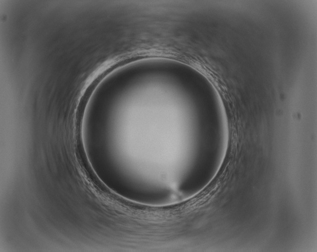 X0000083610008200702121127