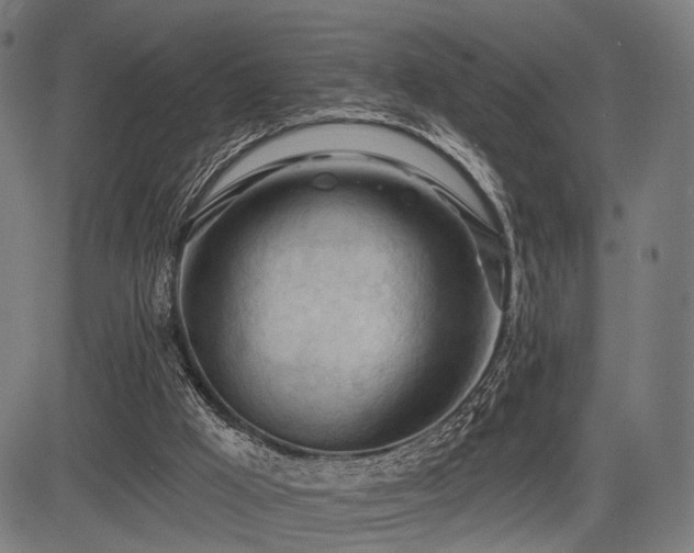 X0000083610009200702121127