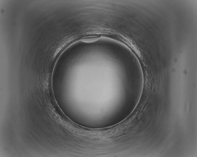 X0000083610010200702121127