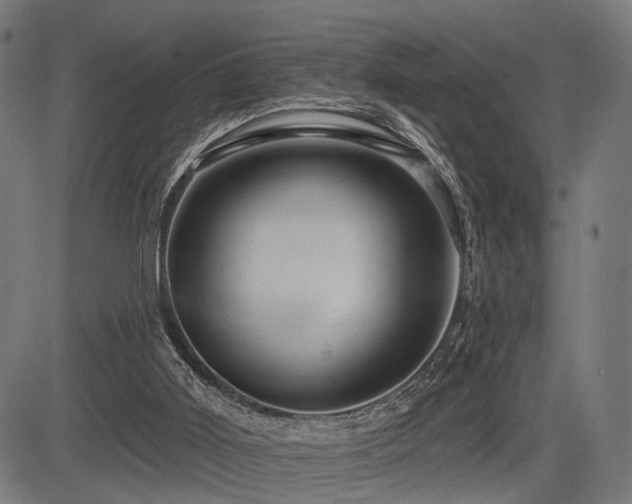 X0000083610011200702121127