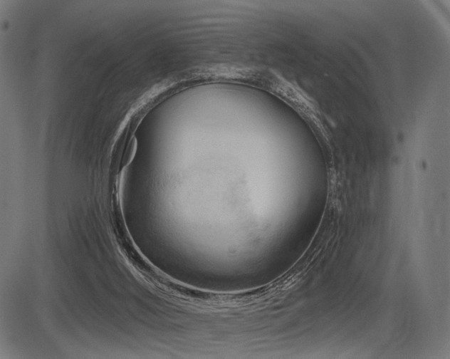 X0000083610012200702121127