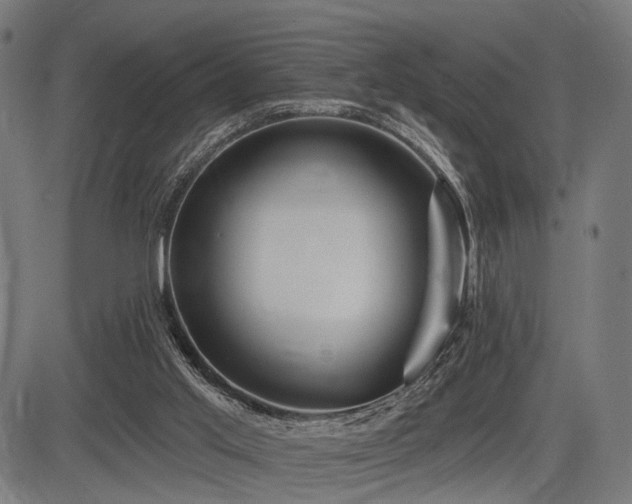 X0000083610013200702121127