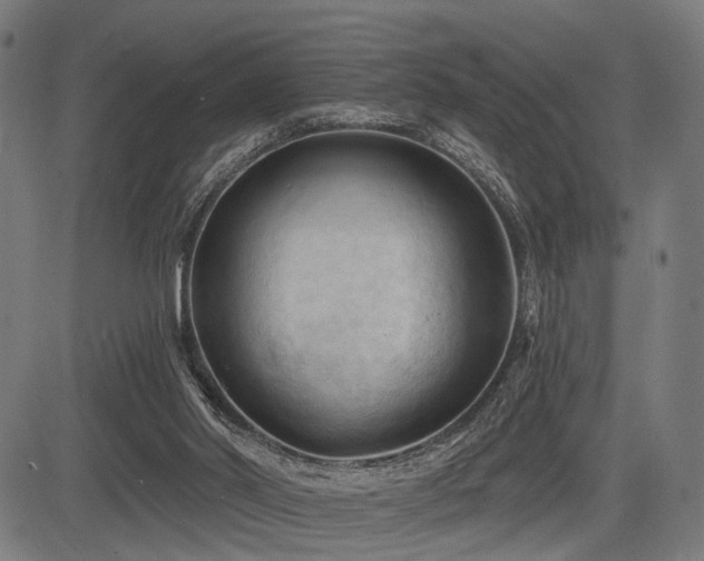 X0000083610014200702121127