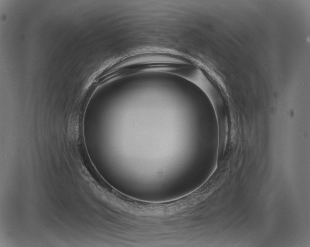 X0000083610015200702121127