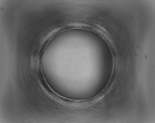 X0000083610016200702121127