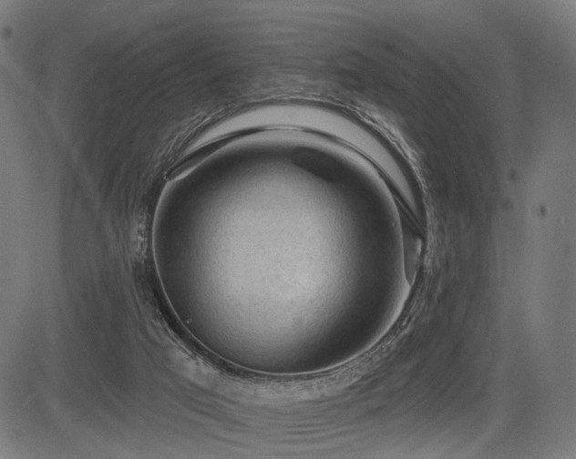 X0000083610017200702121126