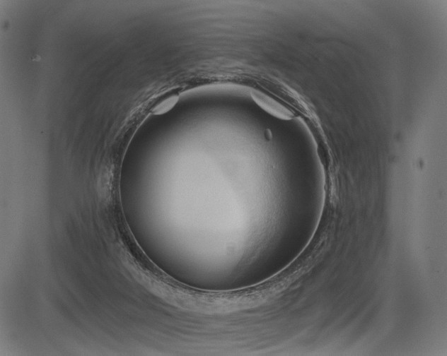 X0000083610018200702121126