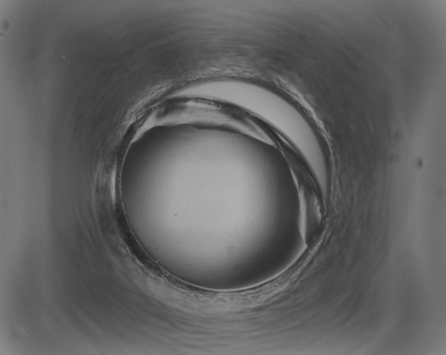 X0000083610019200702121126