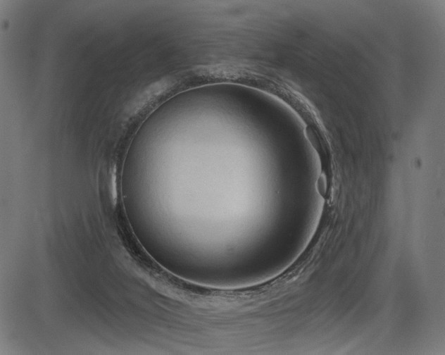 X0000083610020200702121126