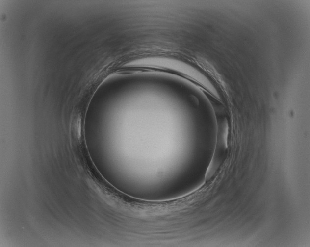 X0000083610021200702121126