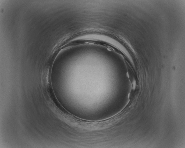 X0000083610023200702121126