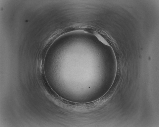 X0000083610024200702121126