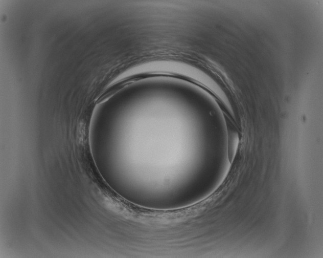 X0000083610025200702121126