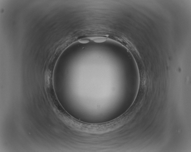 X0000083610026200702121126