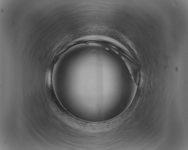 X0000083610027200702121126