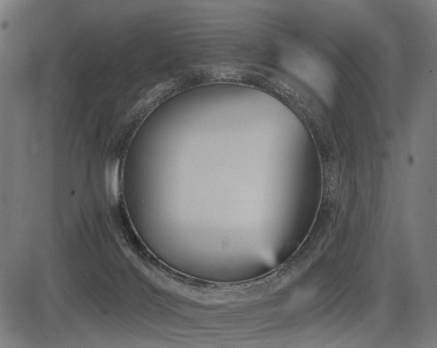 X0000083610028200702121126