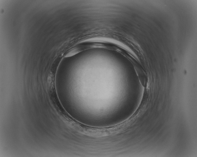 X0000083610029200702121126