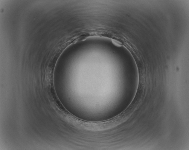 X0000083610030200702121126