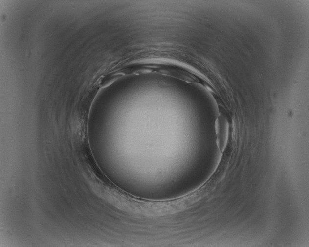 X0000083610031200702121126