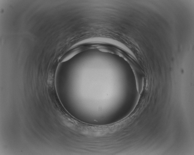 X0000083610033200702121126