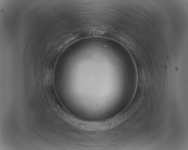 X0000083610034200702121126