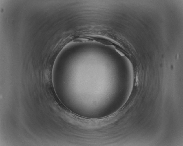 X0000083610035200702121126