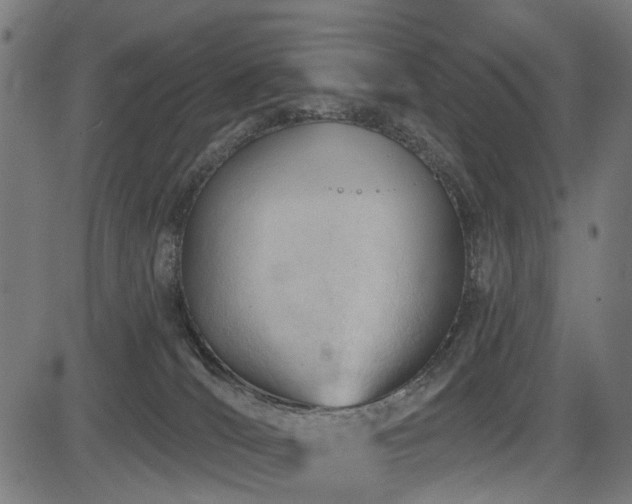 X0000083610036200702121126